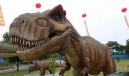 恐龙模型新品爆料视频大全,视频大全带你领略史前巨兽风采